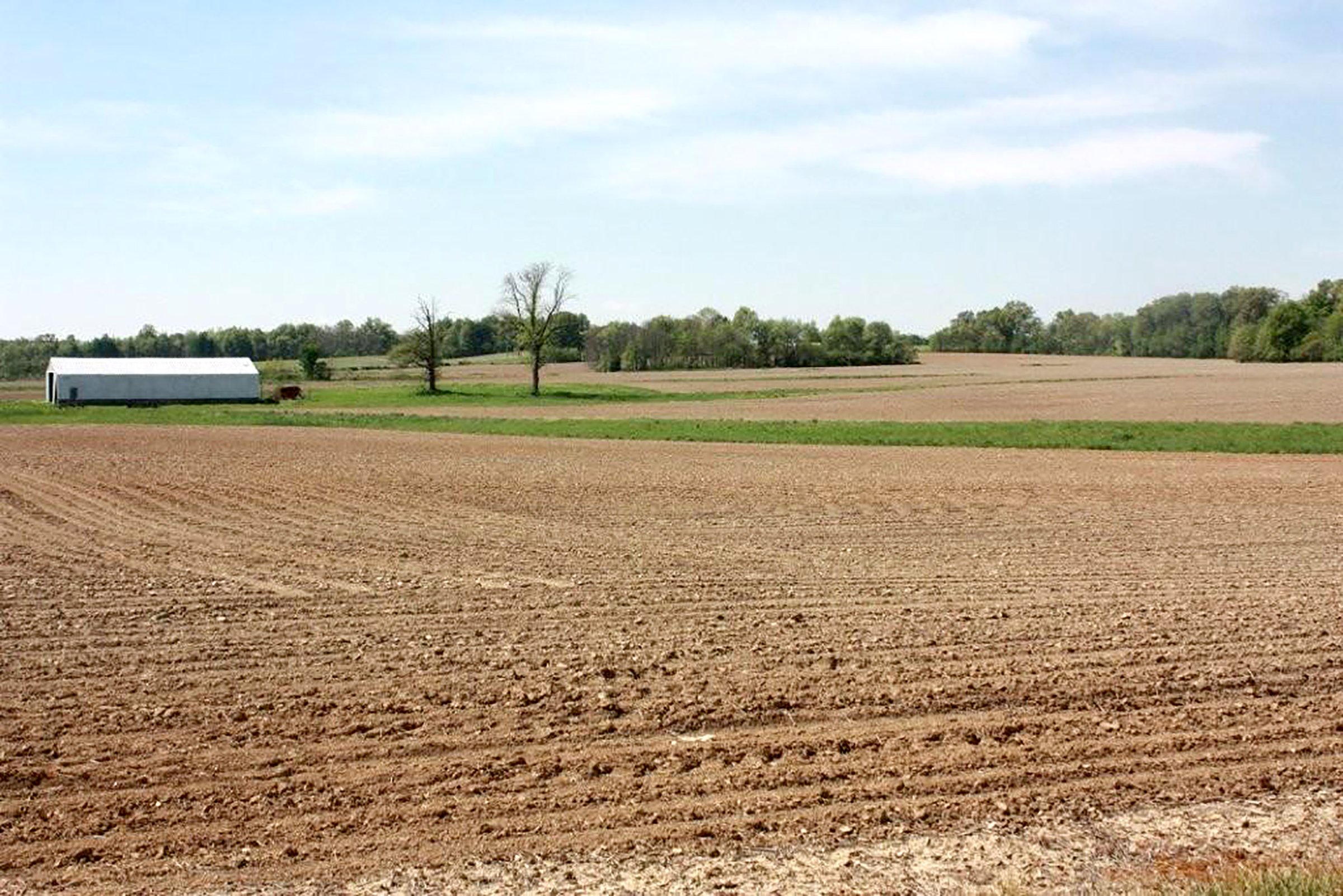Property photo 4 - REAL ESTATE AUCTION - 126+/- ACRES OFFERED IN 4 TRACTS IN GREENE COUNTY, INDIANA